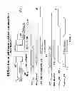 Fig. 07 - Method of application memory preservation for dynamic calibration of memory interfaces