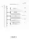 Fig. 06 - Progressive rendering of data sets