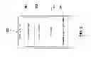 Fig. 03 - Password presentation management