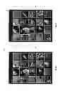 Fig. 06 - Parallax and/or three-dimensional effects for thumbnail image displays