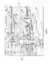 Fig. 05 - Preview cursor for image editing