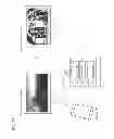 Fig. 83 - SYSTEM, TELEVISION RECEIVER, INFORMATION TERMINAL, CONTROL METHOD, PROGRAM, AND RECORDING MEDIUM