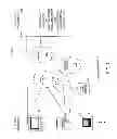 Fig. 02 - Method and apparatus for browsing using alternative linkbases