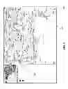 Fig. 09 - GEOGRAPHICAL INTRUSION MAPPING SYSTEM USING TELECOMMUNICATION BILLING AND INVENTORY SYSTEMS
