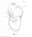 Fig. 02 - Invisible Belt Apparatus and System