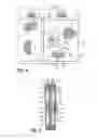 Fig. 06 - ARTICLE OF CLOTHING HAVING MAGNETIC FASTENING ASSEMBLIES