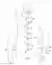 Fig. 01 - Article of clothing having magnetic fastening assemblies