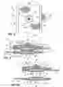 Fig. 04 - Article of clothing having magnetic fastening assemblies