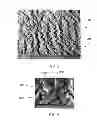 Fig. 04 - Articles of commerce having three-dimensional sheets