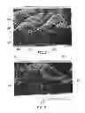 Fig. 05 - Articles of commerce having three-dimensional sheets