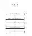 Fig. 02 - Method of manufacturing display apparatus