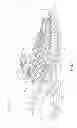 Fig. 02 - Footwear article having cord structure