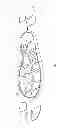 Fig. 03 - Footwear article having cord structure