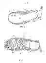 Fig. 05 - Footwear article having cord structure