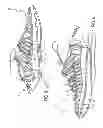 Fig. 07 - Footwear article having cord structure