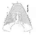Fig. 11 - Article Of Footwear Incorporating A Knitted Component