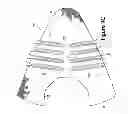 Fig. 13 - Article Of Footwear Incorporating A Knitted Component