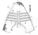 Fig. 29 - Article Of Footwear Incorporating A Knitted Component
