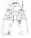 Fig. 31 - Article Of Footwear Incorporating A Knitted Component