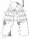 Fig. 33 - Article Of Footwear Incorporating A Knitted Component