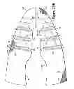 Fig. 32 - Article Of Footwear Incorporating A Knitted Component With Interior Layer Features