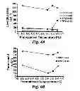 Fig. 07 - Torrefaction reduction of coke formation on catalysts used in esterification and cracking of biofuels from pyrolysed lignocellulosic feedstocks