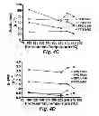 Fig. 08 - Torrefaction reduction of coke formation on catalysts used in esterification and cracking of biofuels from pyrolysed lignocellulosic feedstocks