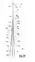 Fig. 06 - FLORAL EASEL AND METHODS OF USE THEREOF