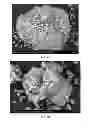 Fig. 06 - Methods and compositions using calcium carbonate