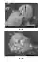 Fig. 07 - Methods and compositions using calcium carbonate
