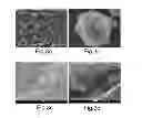 Fig. 04 - HYDROPHOBIC COATING AND A METHOD FOR PRODUCING HYDROPHOBIC SURFACE