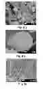 Fig. 06 - HYDROPHOBIC COATING AND A METHOD FOR PRODUCING HYDROPHOBIC SURFACE