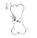 Fig. 05 - Animal toy with squeaker