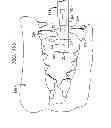 Fig. 59 - Animal toy with squeaker