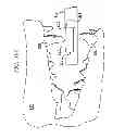 Fig. 60 - Animal toy with squeaker