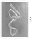 Fig. 03 - ANIMAL RESTRAINING DEVICE