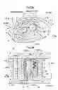 Fig. 13 - Valve timing control device and valve timing control mechanism