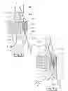 Fig. 04 - EXHAUST GAS LINE OF AN INTERNAL COMBUSTION ENGINE