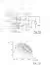 Fig. 06 - EXHAUST GAS LINE OF AN INTERNAL COMBUSTION ENGINE