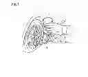 Fig. 02 - Method of Cleaning Tire Valve and Cleaning Tool