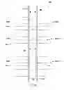 Fig. 26 - Safety system for autonomous downhole tool