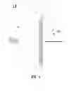 Fig. 07 - Touch-sensing electrode structure and method of manufacturing the same