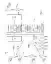 Fig. 07 - System and method for determining incremental progression between survey points while drilling