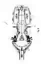 Fig. 06 - Two-wheeled vehicle