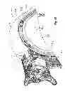 Fig. 50 - Two-wheeled vehicle