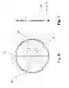 Fig. 06 - Apparatus for positioning multiple-lane fruit, especially peaches