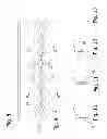 Fig. 07 - Apparatus for positioning multiple-lane fruit, especially peaches