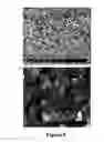 Fig. 06 - Ionic liquid functionalized reduced graphite oxide / TiOnanocomposite for conversion of COto CH