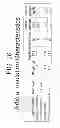 Fig. 23 - MULTILAYER ARTICLE AND METHOD FOR MAKING A MULTILAYER ARTICLE, BLANK, AND INSULATING CUP