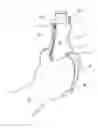 Fig. 01 - Apparatus for insulating and/or carrying a beverage container